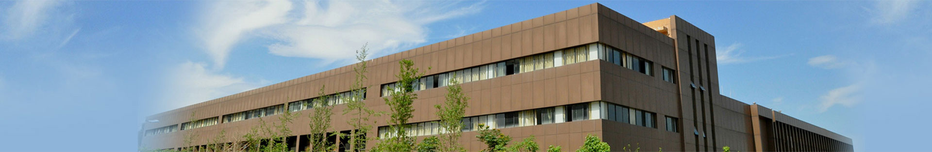 关于尊龙集团